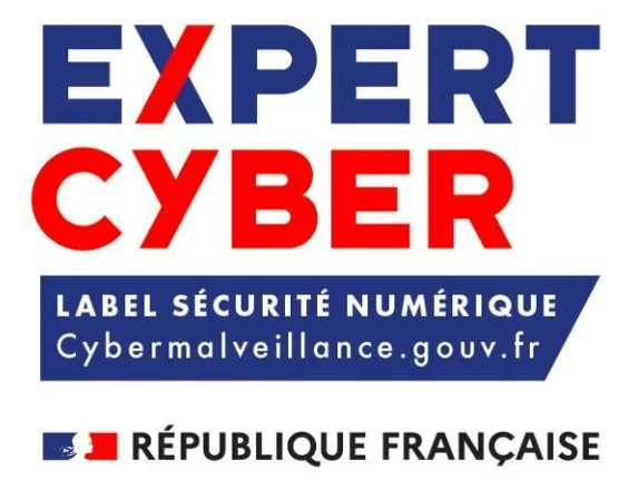 Expert Cyber