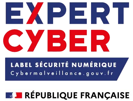 Expert Cyber