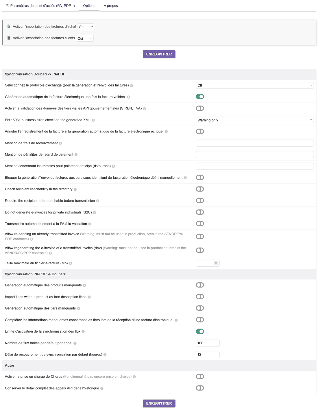 Vue exhaustive de l'onglet Options du module EInvoicing